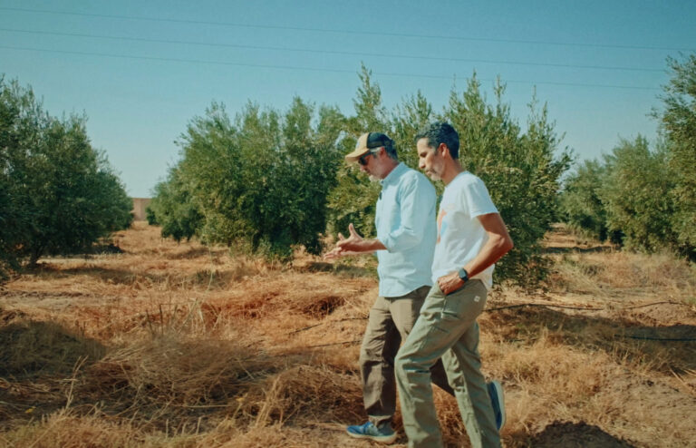 Villa Jerada Estate Olive Oil